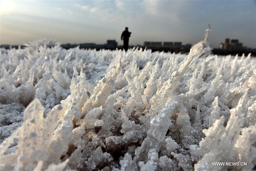 Scenery of Salt Lake in Shanxi