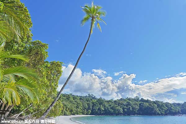 Chinese tourists enjoy 'extreme' Spring Festival in Costa Rica