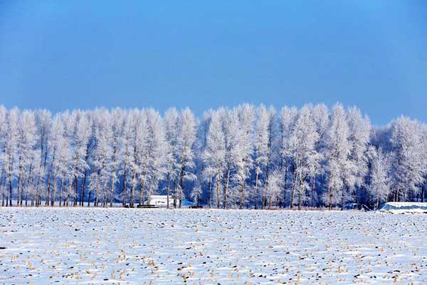 Heilongjiang's winter tourism booms despite annoying warmth