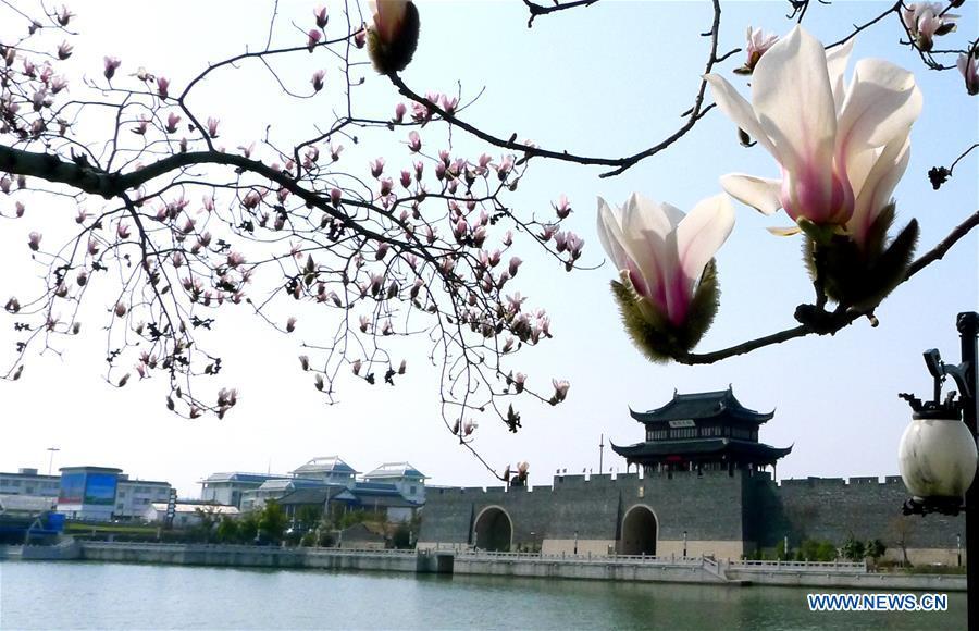 Sweet flowers embraces spring in Jiangsu