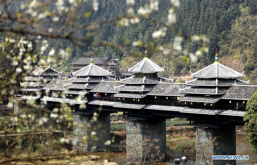 Spring scenery across China