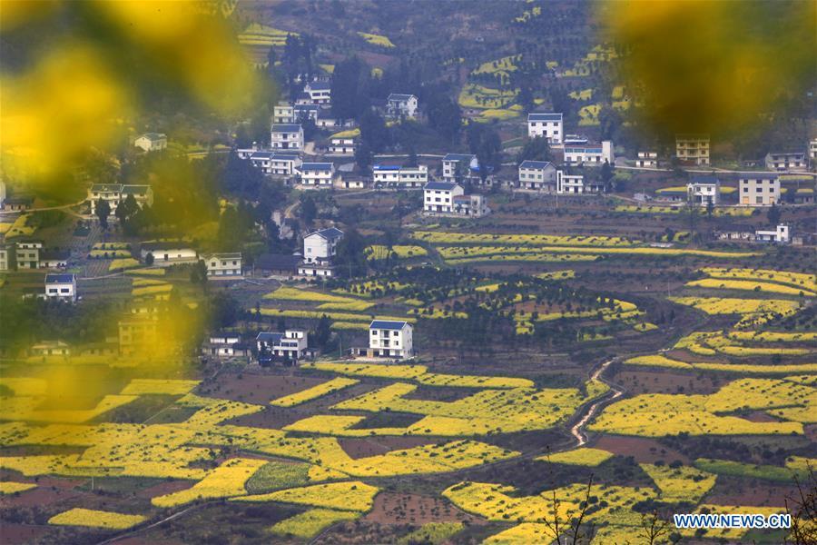 Spring scenery in C China