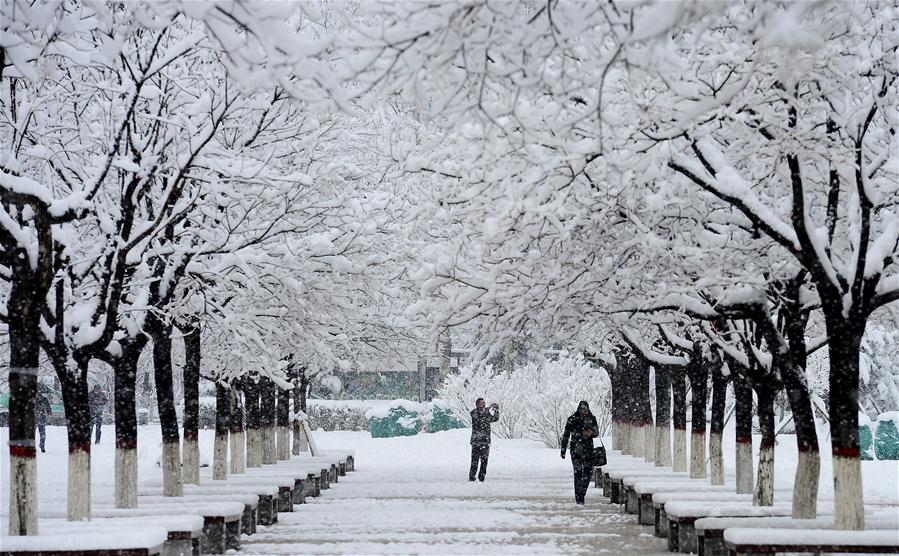 Snowfall hits most parts of Qinghai in NW China