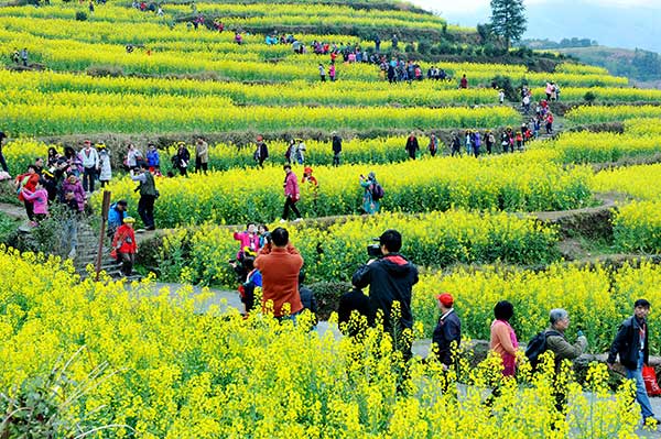 'Flower tours' blossom across China