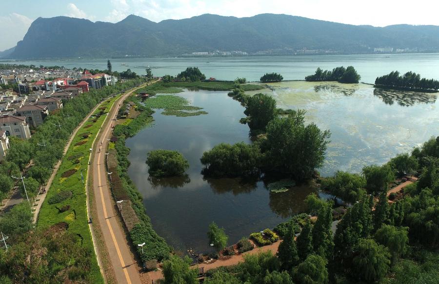 Water quality of Dianchi Lake improved in SW China's Kunming