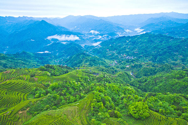 China inaugurates environmental prize