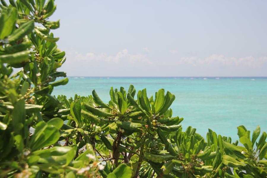 Sailing to Xisha Islands