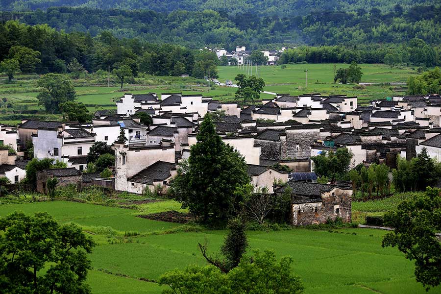 Summer scene at Hongcun village in Anhui province