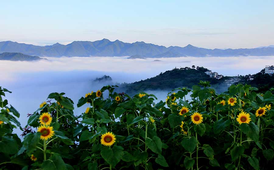 Beauty after the rain: Shitan scenic area on Mount Huangshan