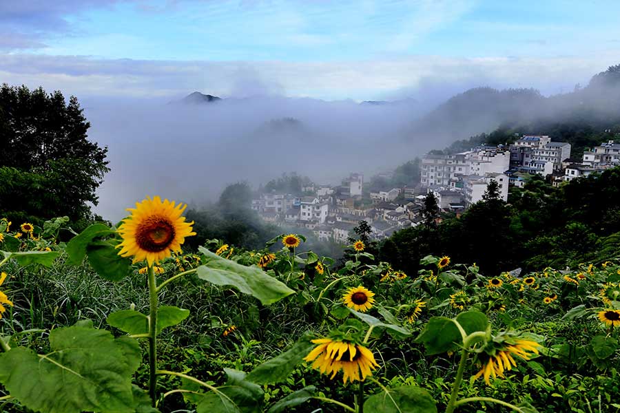 Beauty after the rain: Shitan scenic area on Mount Huangshan