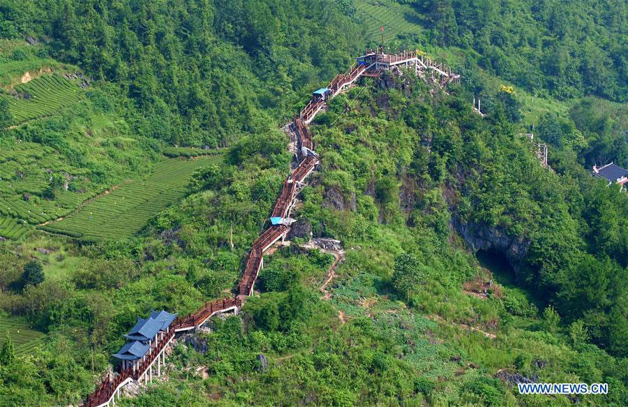 Plank corridor built in tea garden in China's Hubei