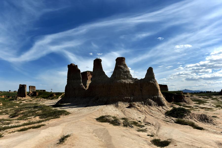 Soil forest in Datong county, N China's Shanxi