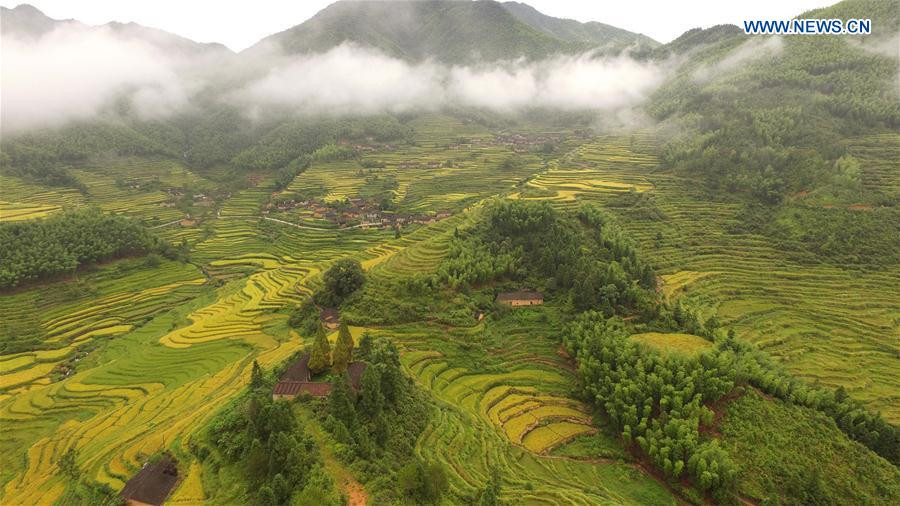 Terraces in Houyuan village, SE China