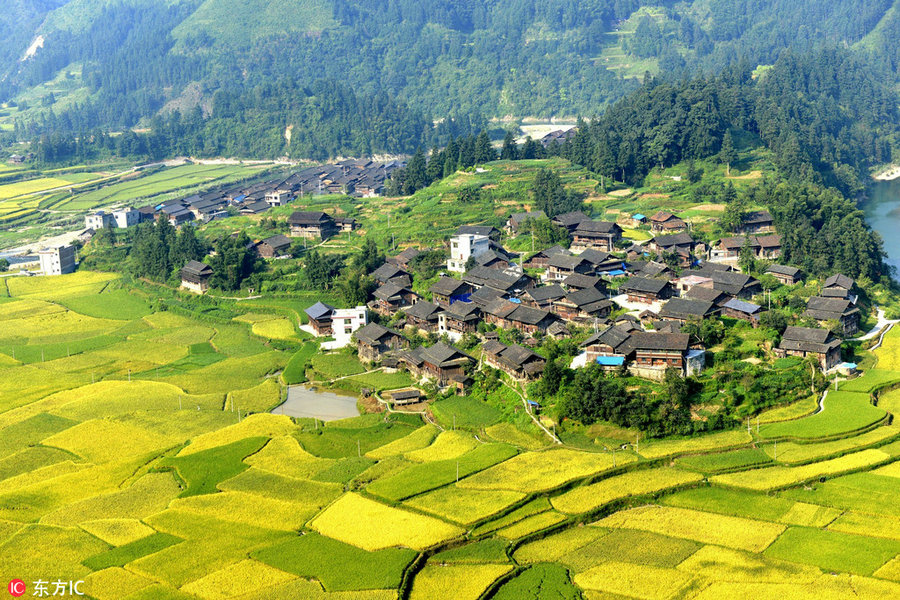 Best places to enjoy autumn's golden landscapes in China