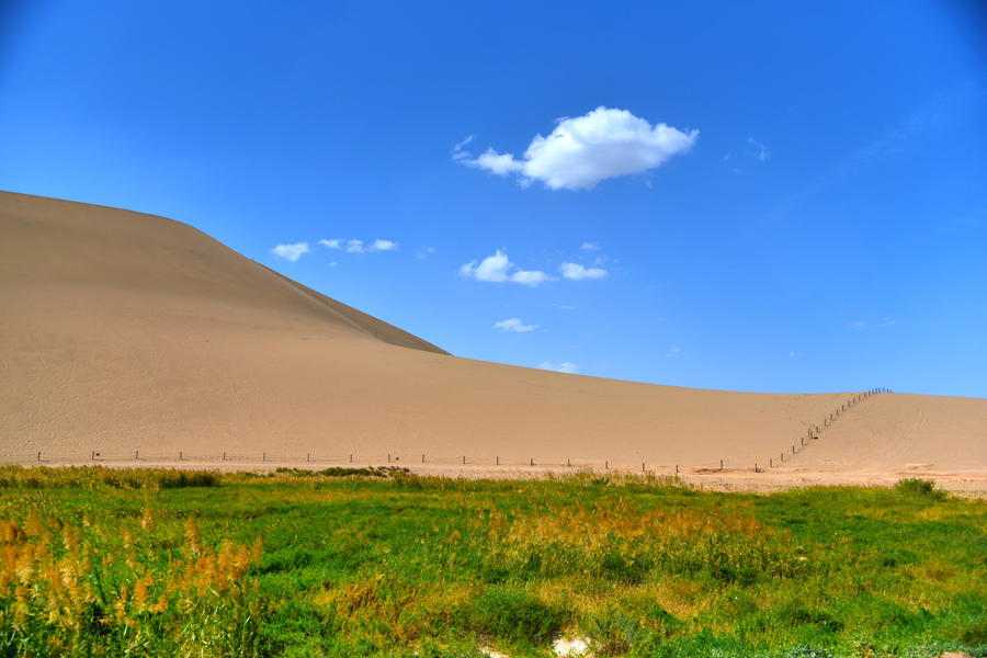 Crescent Lake: Green eye of the desert