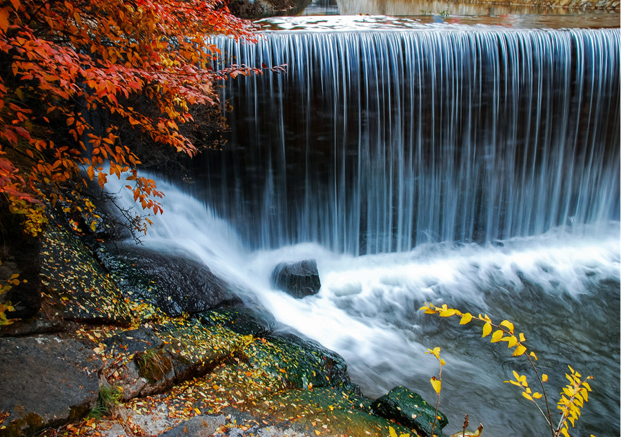 Indulged in the golden color of autumn in Shanxi