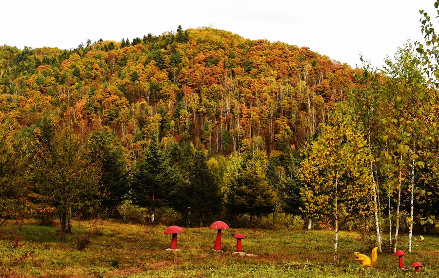 Autumn scenery in Yichun, Heilongjiang province