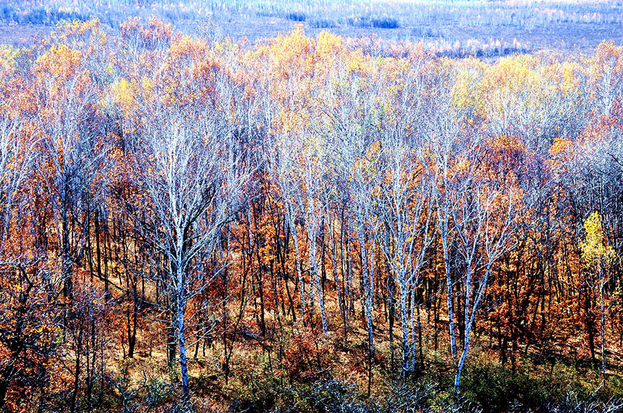 Gongbiela Nature Reserve exemplifies ecology protection