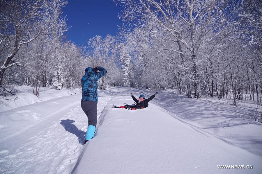 Rime scenery of Xianfeng Forest Park in Northeast China