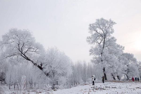 Tourists enjoy fairytale-like Wusong Island