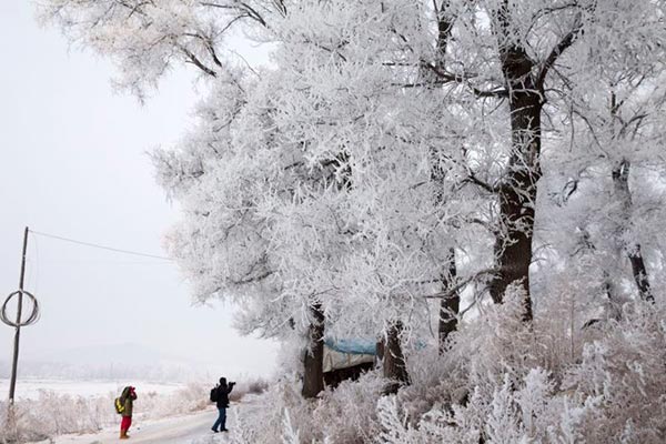 Tourists enjoy fairytale-like Wusong Island