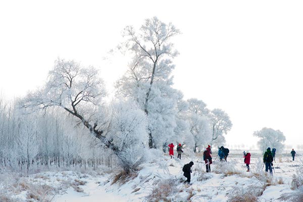 Tourists enjoy fairytale-like Wusong Island