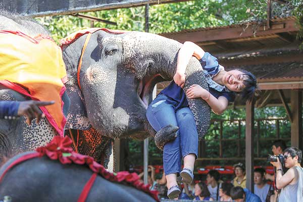 Semi-guided tours a hot trend for New Year's Day holiday