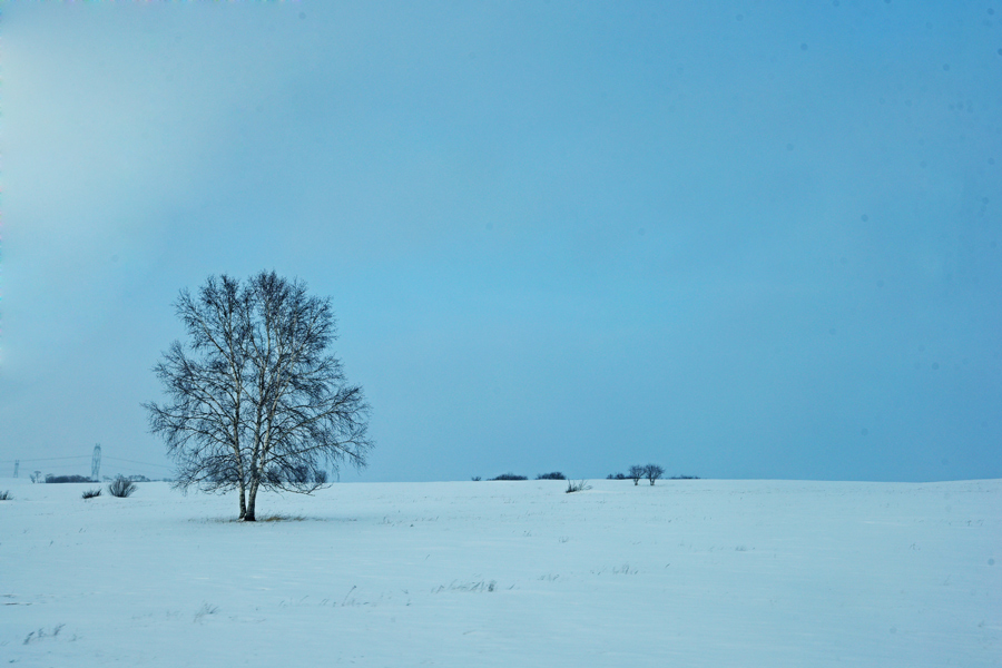 Breathtaking scenery of Bashang Grassland in winter