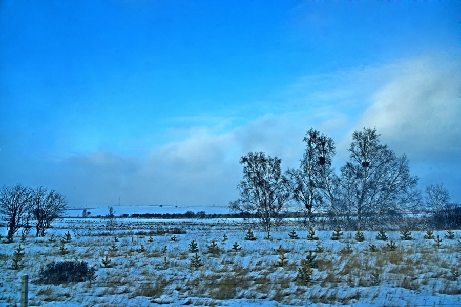 Breathtaking scenery of Bashang Grassland in winter