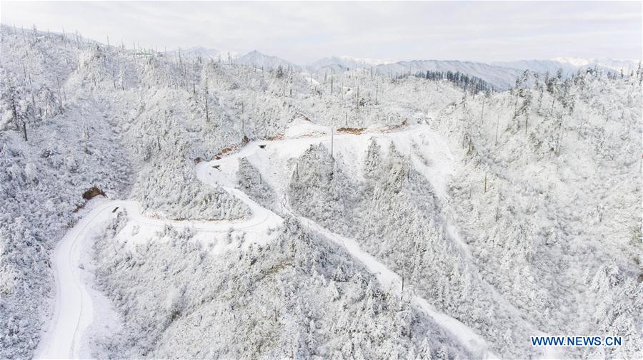 Snow-covered Longcanggou National Forest Park