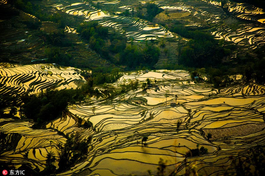 Honghe Rice Terraces: Masterpiece of Hani people