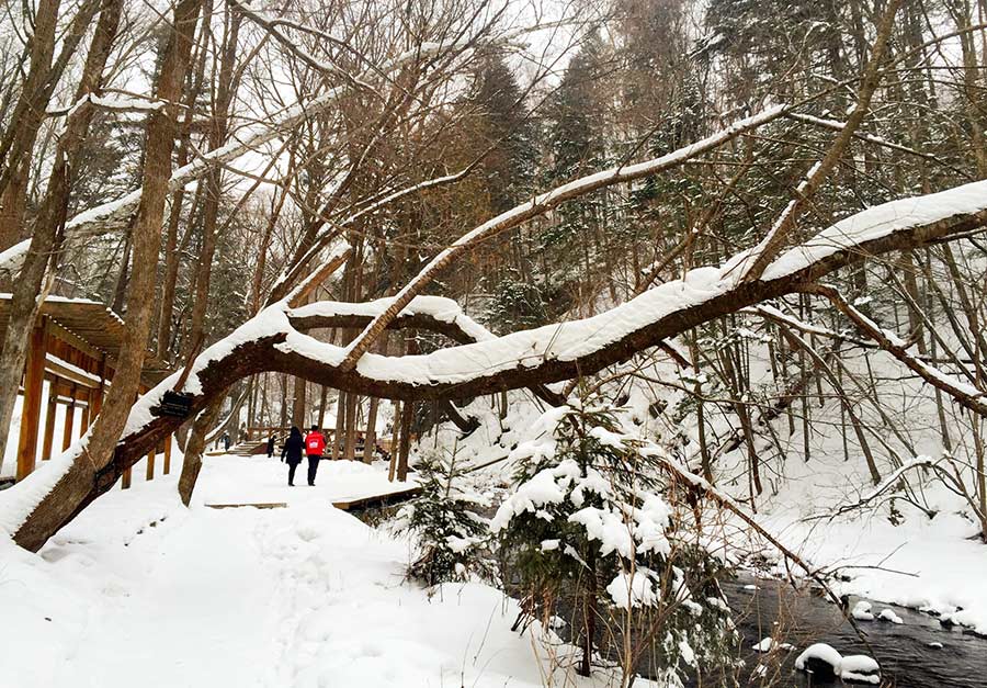 A winter wonderland in Northeast China's Tonghua