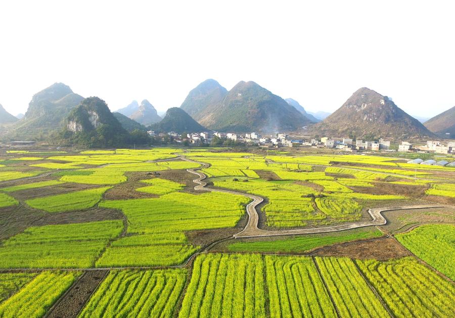 Fresh spring scenery brightens China