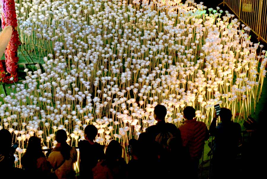 A sea of roses lights up Wuhan on Valentine's Day