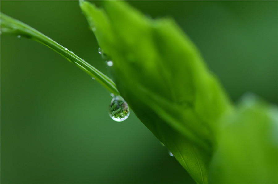 Spring returns to land as temperature rises