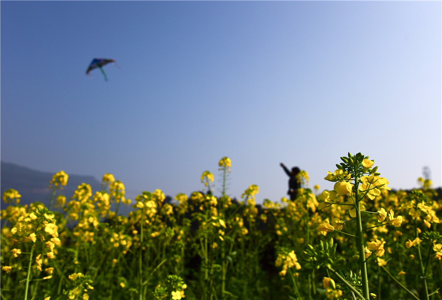 Spring returns to land as temperature rises