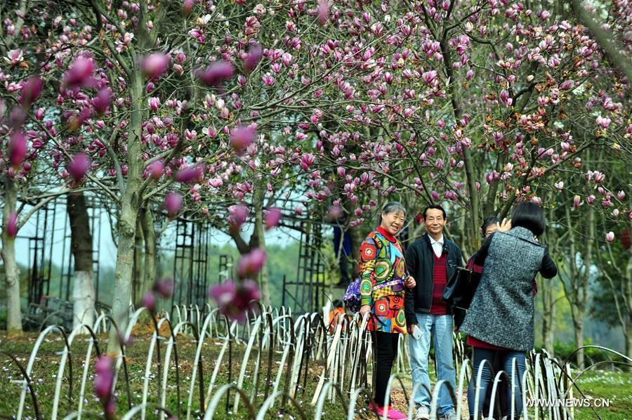 People enjoy spring scenery across China