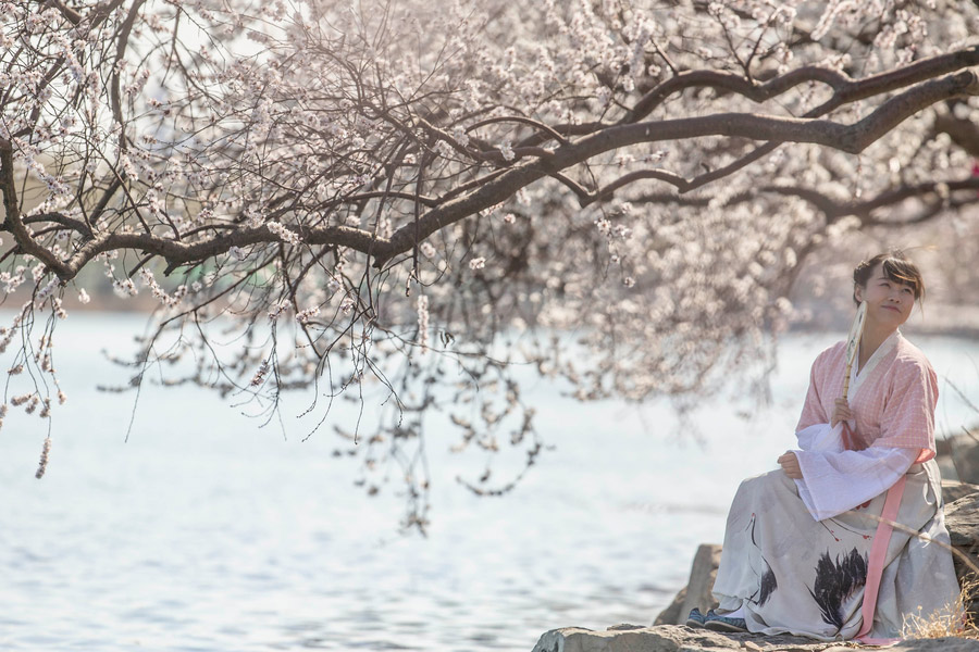 Admiring the spring scenery at the Summer Palace