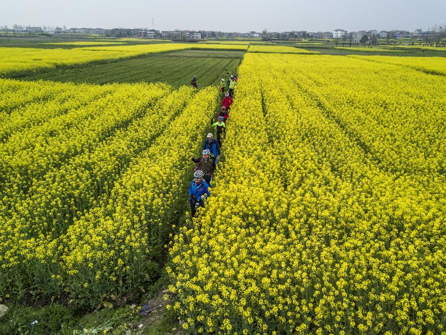 Spring scenery of Fengshan town in Hubei