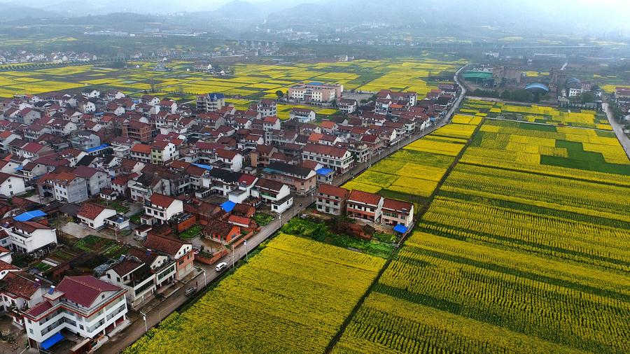 Spring scenery at the foot of Tiandang Mountain