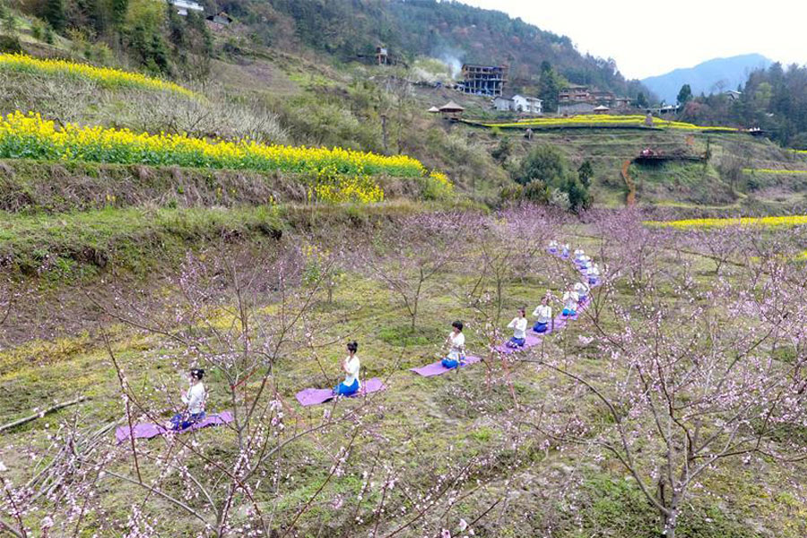 Yoga fans practise yoga on farmland of flowers in Zhangjiajie