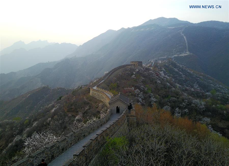 Spring scenery of Mutianyu section of Great Wall in Beijing