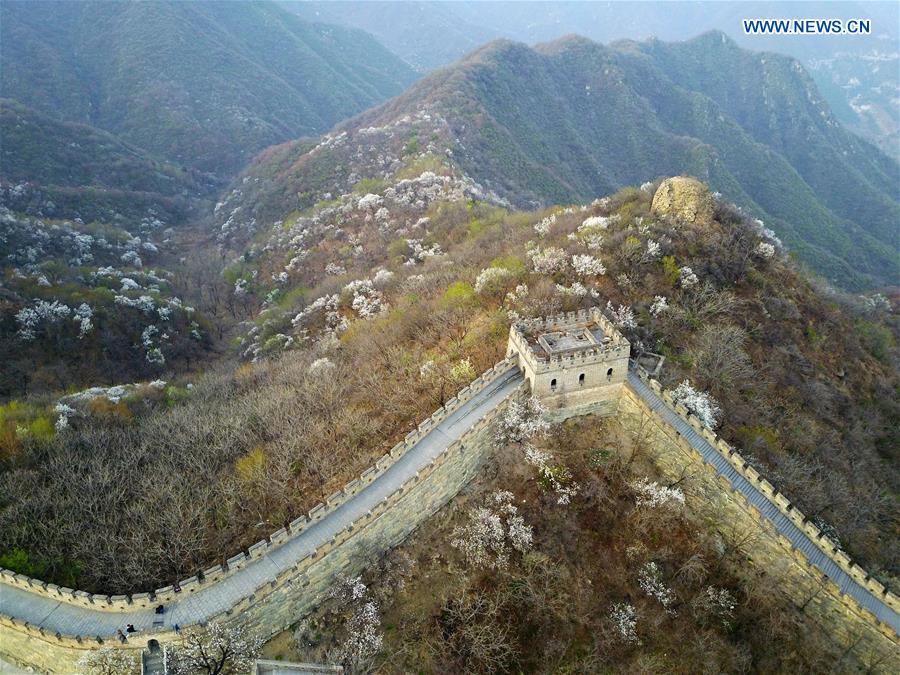 Spring scenery of Mutianyu section of Great Wall in Beijing