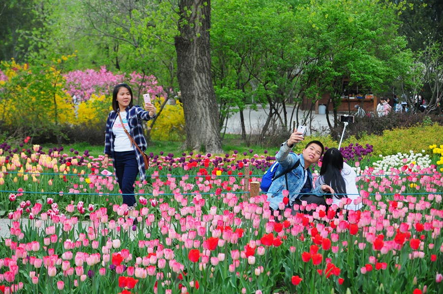 Time to admire flowers