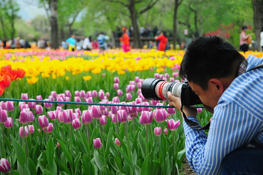 Time to admire flowers