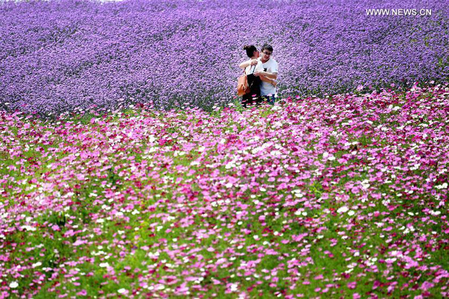 Tourists have fun in flowers at parks in E China