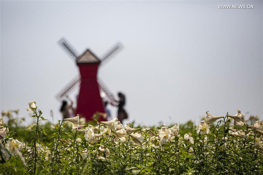 Tourists have fun in flowers at parks in E China