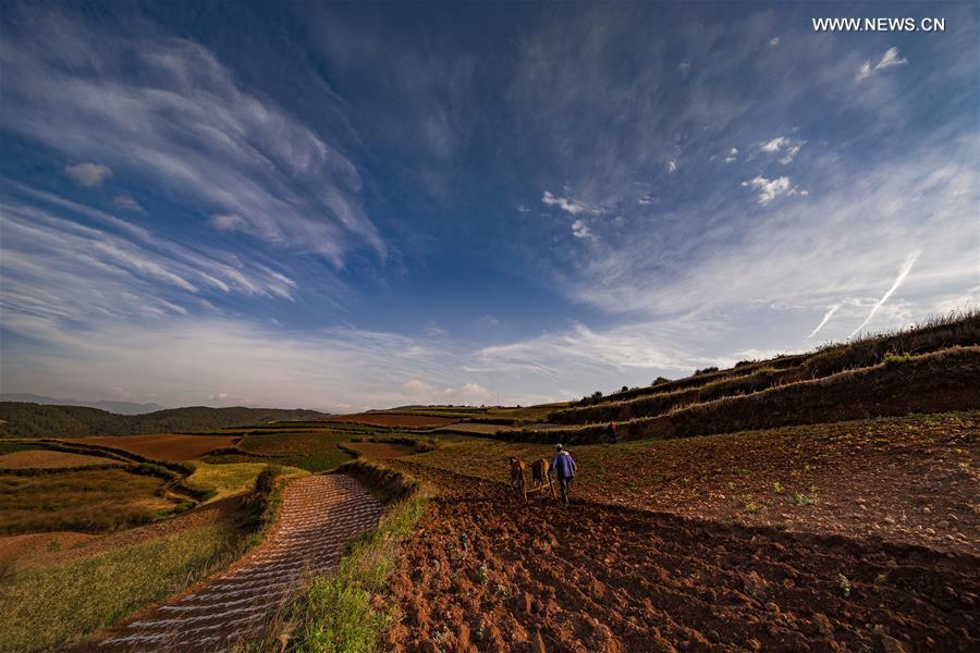 Scenery of Dongchuan Red Land in Yunnan