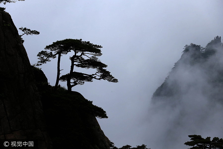 Spectacular sea of clouds at Huangshan Mountain