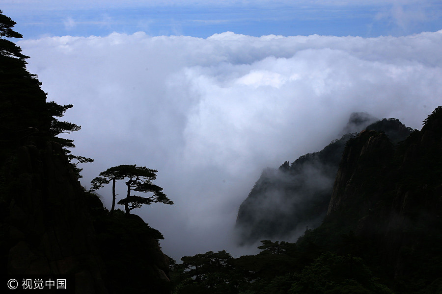 Spectacular sea of clouds at Huangshan Mountain